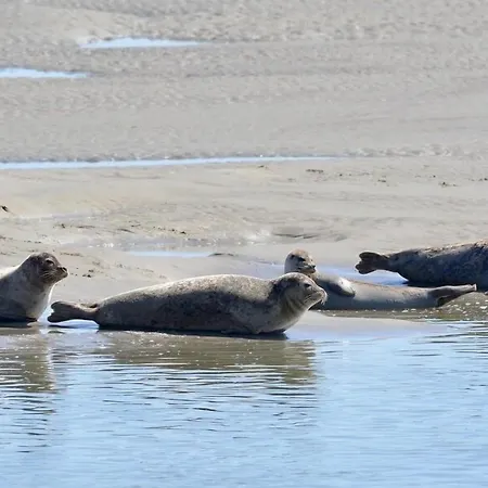 酒店 Reingam-park 3*