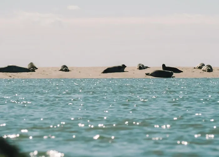 Hotel Reingam-park Berck